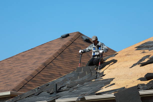 Above and Beyond: Walker Roofing Contractor's Dedication