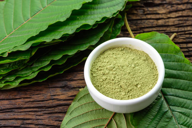 Kratom Brands You Can Trust The Top Choices for 2024